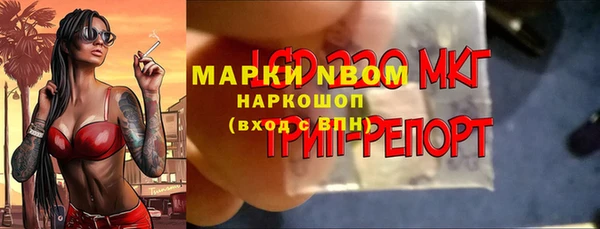 ГАЛЛЮЦИНОГЕННЫЕ ГРИБЫ Алексин