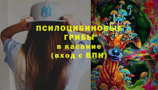 а пвп мука Алзамай