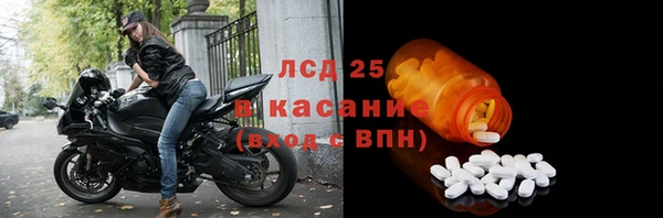 ГАЛЛЮЦИНОГЕННЫЕ ГРИБЫ Алексин