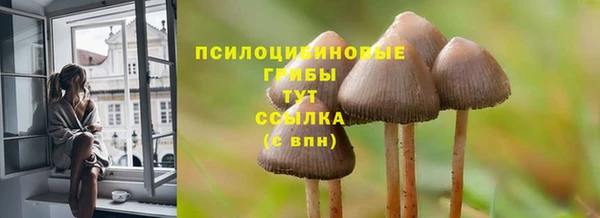 ГАЛЛЮЦИНОГЕННЫЕ ГРИБЫ Алексин